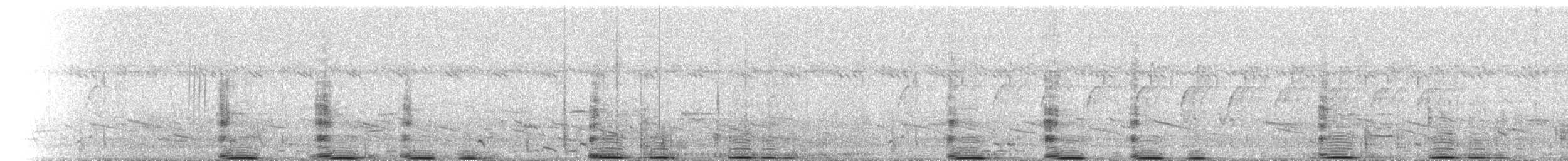 Southern Ground-Hornbill - ML214791141