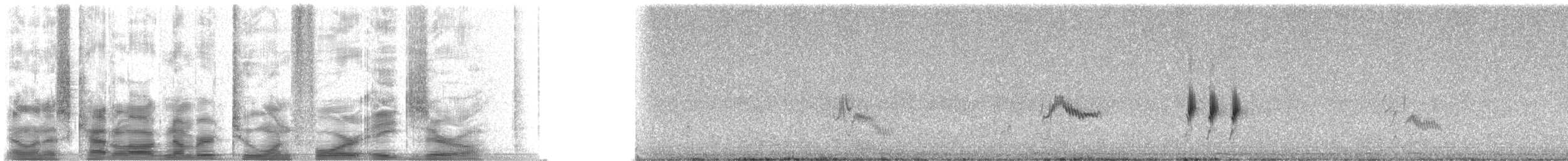 Spotted Towhee - ML21480