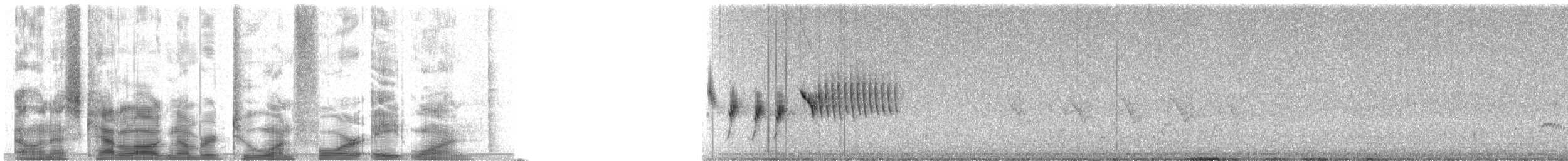 ノドグロヒメドリ - ML21481