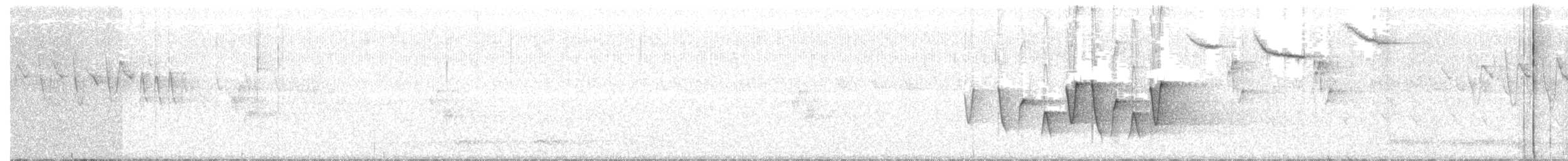 Paruline à gorge grise - ML214815401