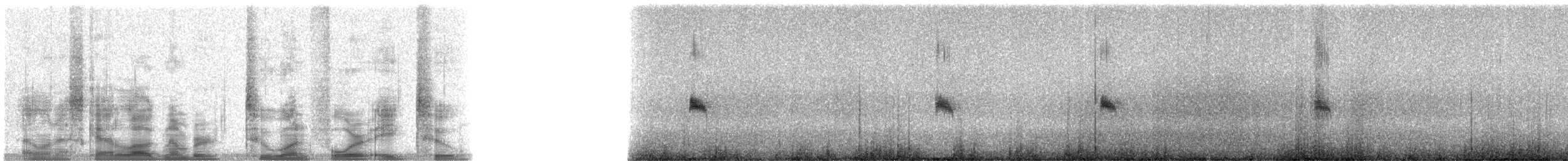 Canyon Wren - ML21482