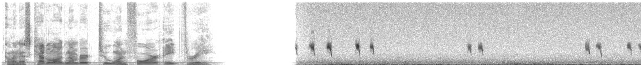 Northern Mockingbird - ML21483