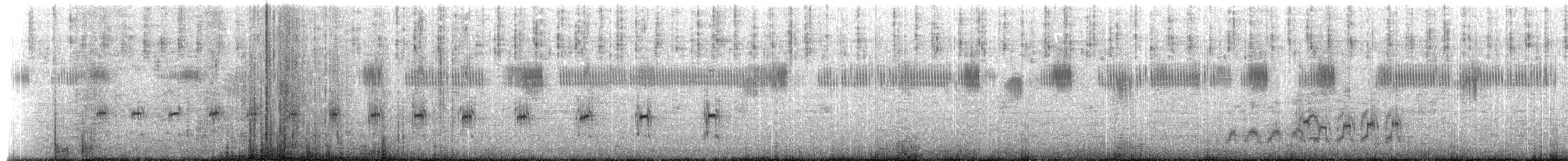 Нарийн хиазат - ML214834881