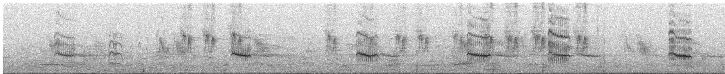 Sandwich Tern (Eurasian) - ML214835321