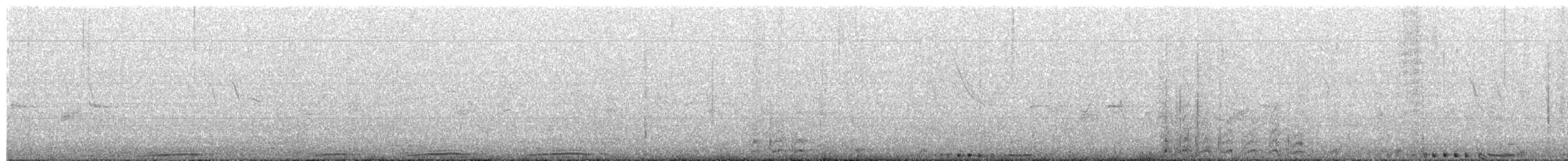 holub skalní - ML214836991
