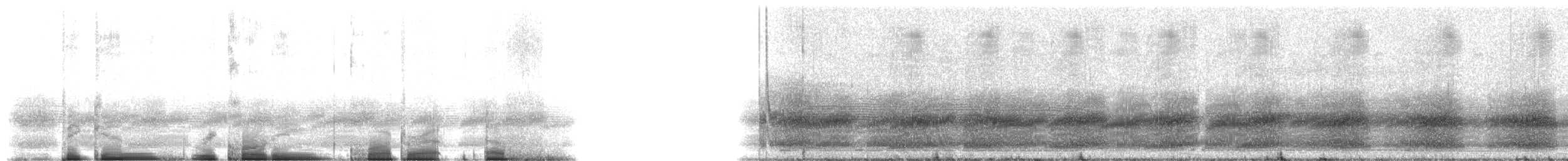 Squirrel Treefrog - ML214872