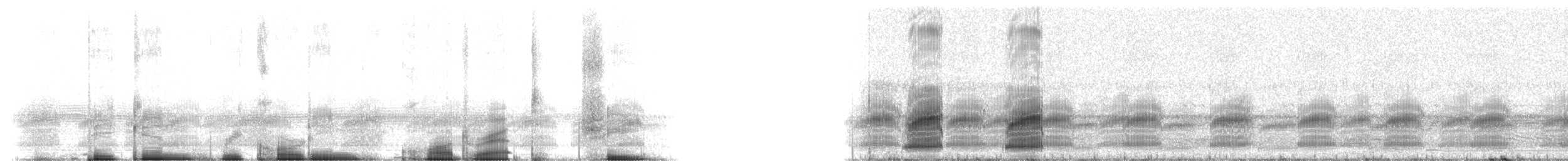 Squirrel Treefrog - ML214873