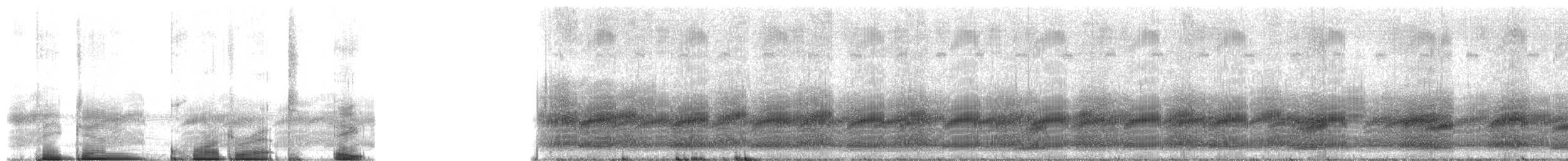 Squirrel Treefrog - ML214874