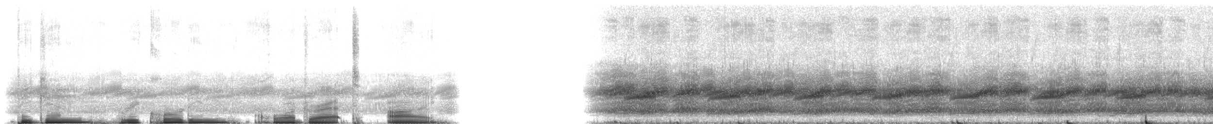 Frogs and Toads - ML214875