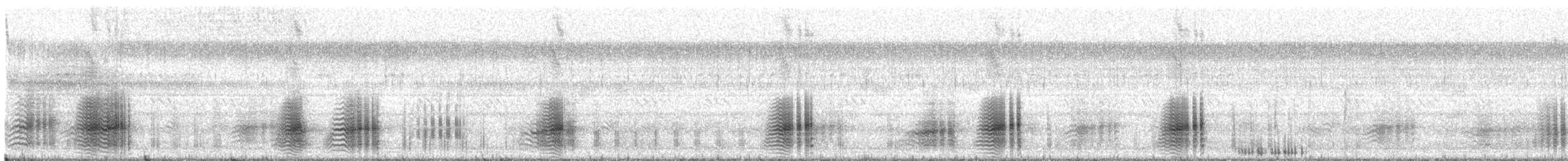 Cuban Tree Frog - ML214877