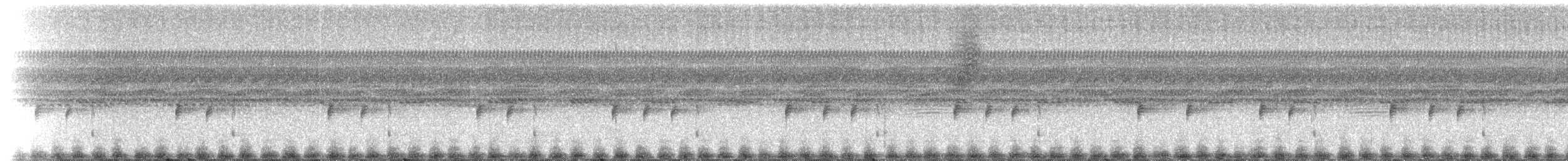 Southern Frogs - ML214879