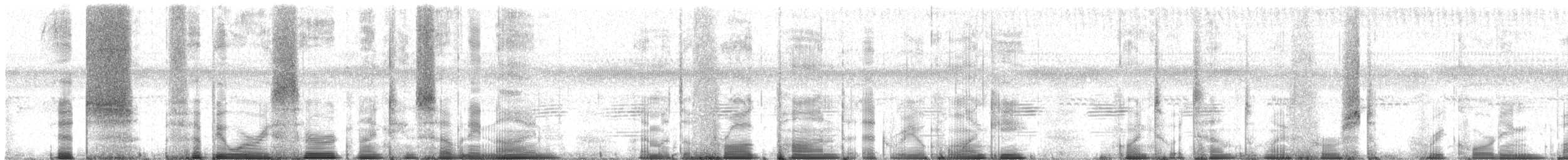 Southern Frogs - ML214881