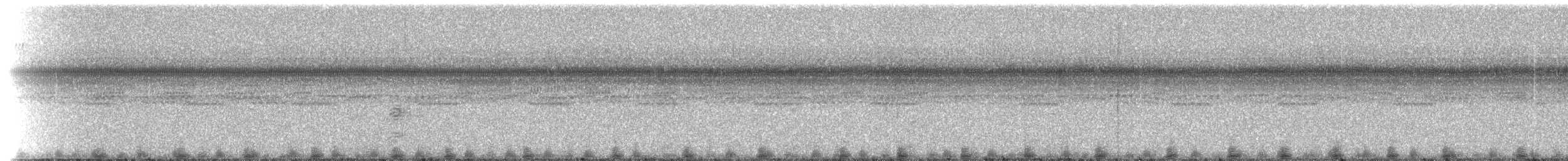 Southern Frogs - ML214882