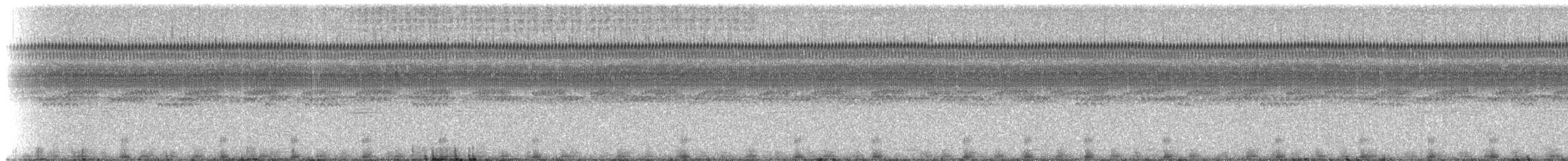 Southern Frogs - ML214883