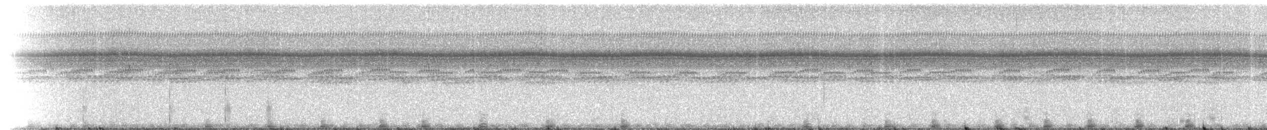 Southern Frogs - ML214884