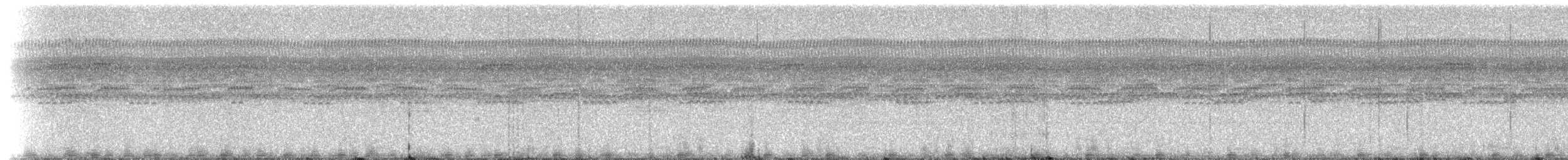 Southern Frogs - ML214885