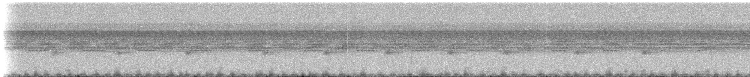 Southern Frogs - ML214886