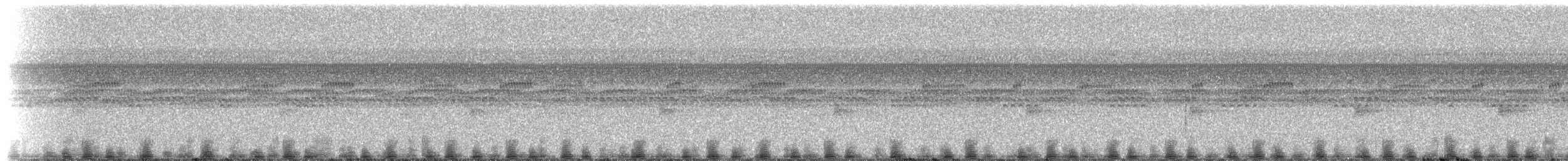 Southern Frogs - ML214888