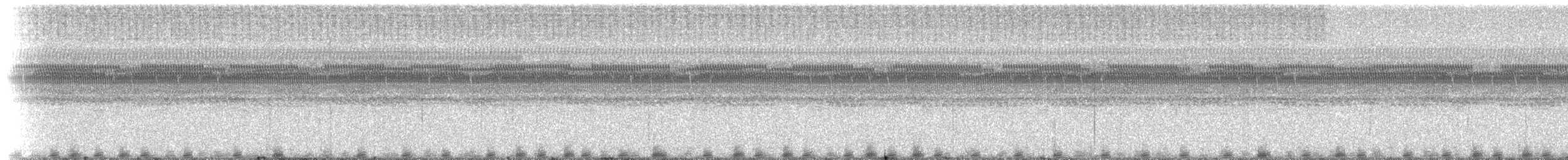 Southern Frogs - ML214890