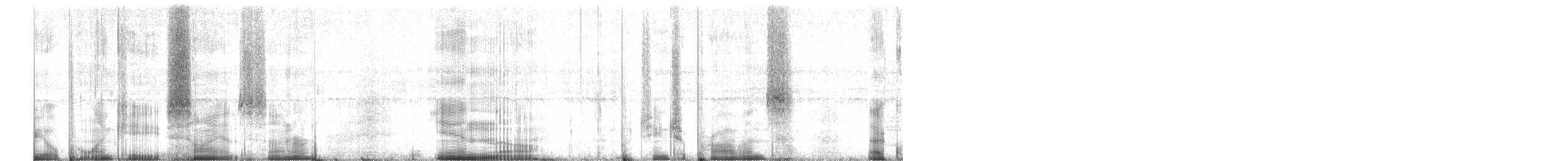 Quevedo Snouted Tree Frog - ML214894