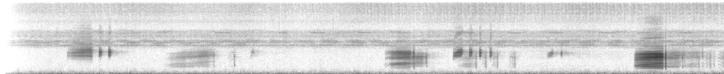 Quevedo Snouted Tree Frog - ML214895