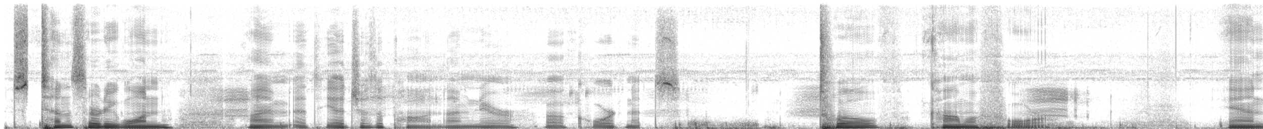 Pacific Lowland Tree Frog - ML214897