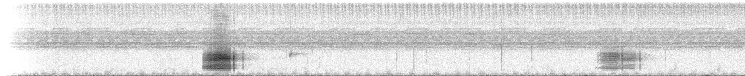 Quevedo Snouted Tree Frog - ML214898