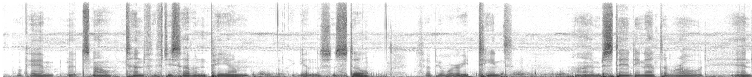 Palmar Tree Frog - ML214899