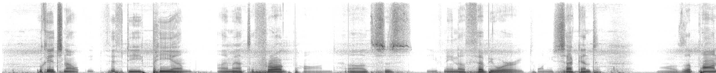 Fowler's Snouted Tree Frog - ML214901