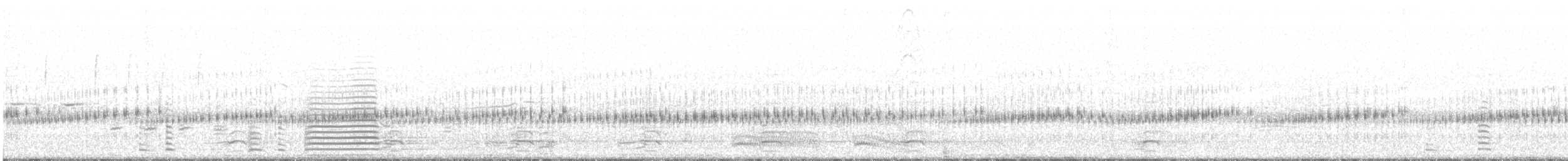 Cisne Trompetero - ML214916631