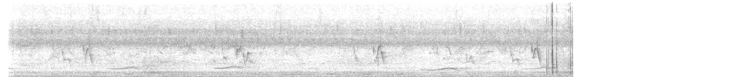 Щетинистая долгохвостка - ML214921251