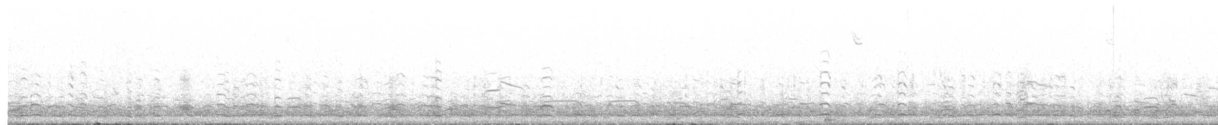 Ross's Goose - ML214930991