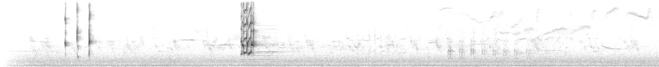rosenhodet dvergpapegøye - ML214931051