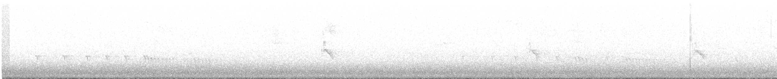 Белокрылая канделита - ML214949701