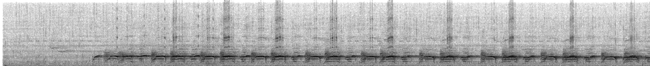 Schwarzstirnwachtel - ML214986611