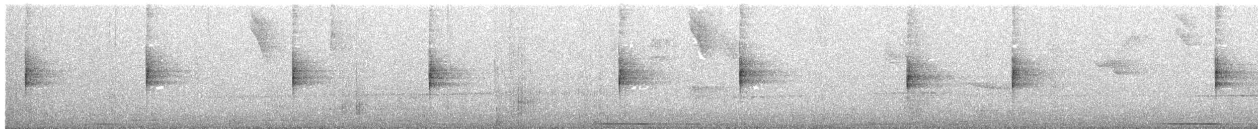 Louisiana Waterthrush - ML214987681