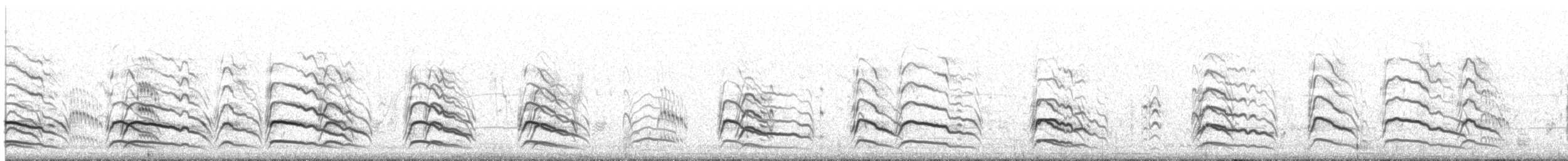 Sterne de rivière - ML215000201
