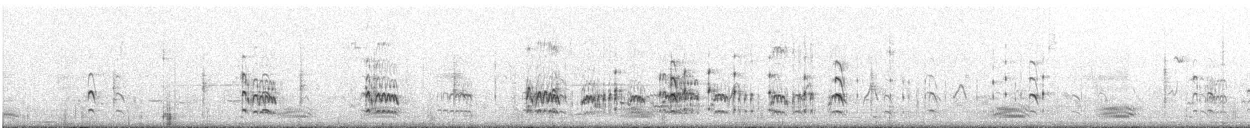 Glaréole lactée - ML215001871
