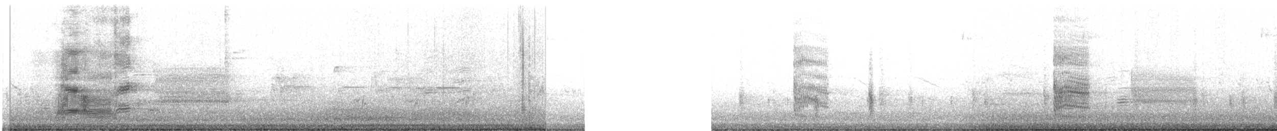 Purpurgrackel - ML215028811