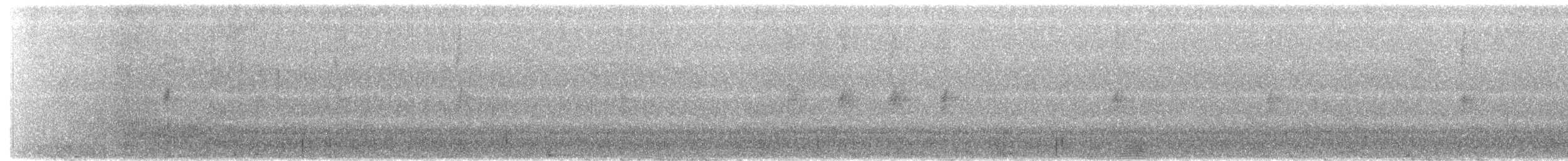 White-throated Dipper - ML215061421