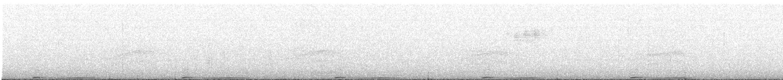 Полосатохвостый голубь - ML215076291