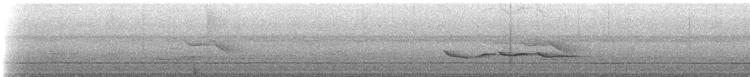 Gray-headed Babbler - ML215092