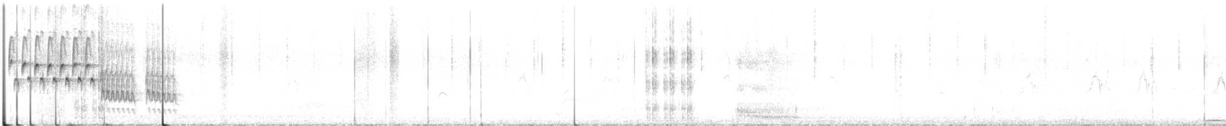 Troglodyte des marais - ML215094291