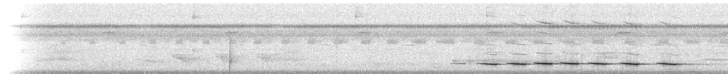 Streak-chested Antpitta (Pacific Slope) - ML215104