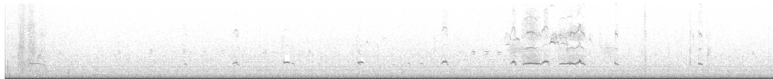 小水鴨 - ML215112511