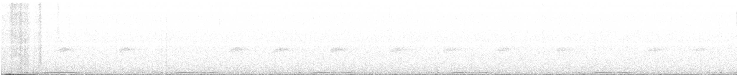 holub pruhoocasý - ML215114621