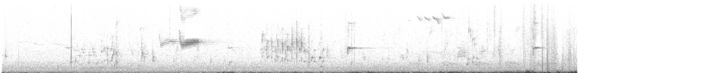 Troglodyte des marais - ML215165631