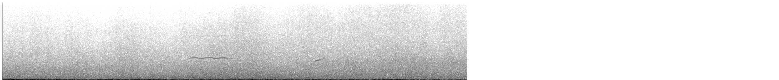 Magellanic Oystercatcher - ML215179831