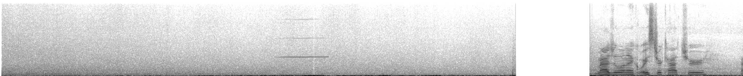 Magellanic Oystercatcher - ML215180321