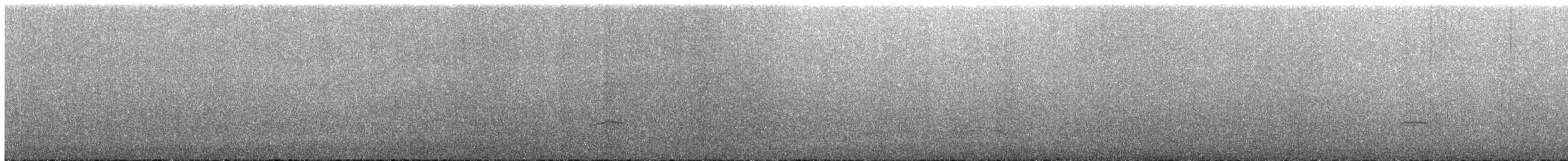 ústřičník žlutooký - ML215184831